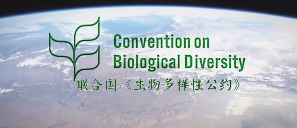 关于核准 2020 年《生物多样性公约》第十 五次缔约方大会会标特殊标志登记的公告